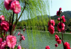 快来抄作业：这份重疾险真的很适合我们